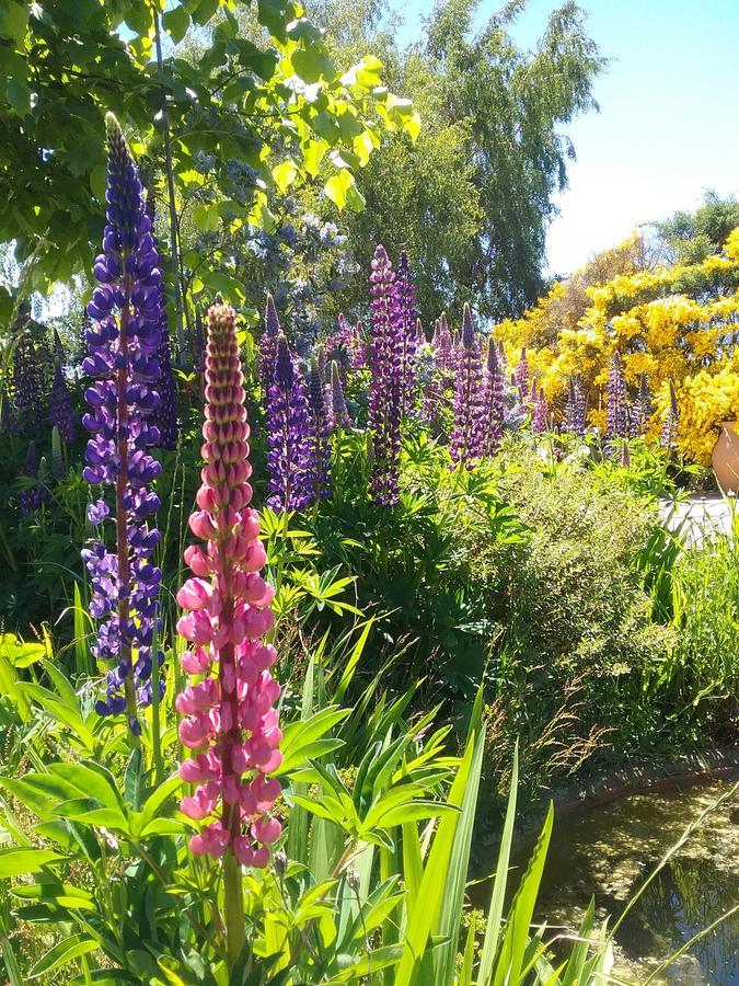 Rayen Mapu Villa Bariloche Buitenkant foto